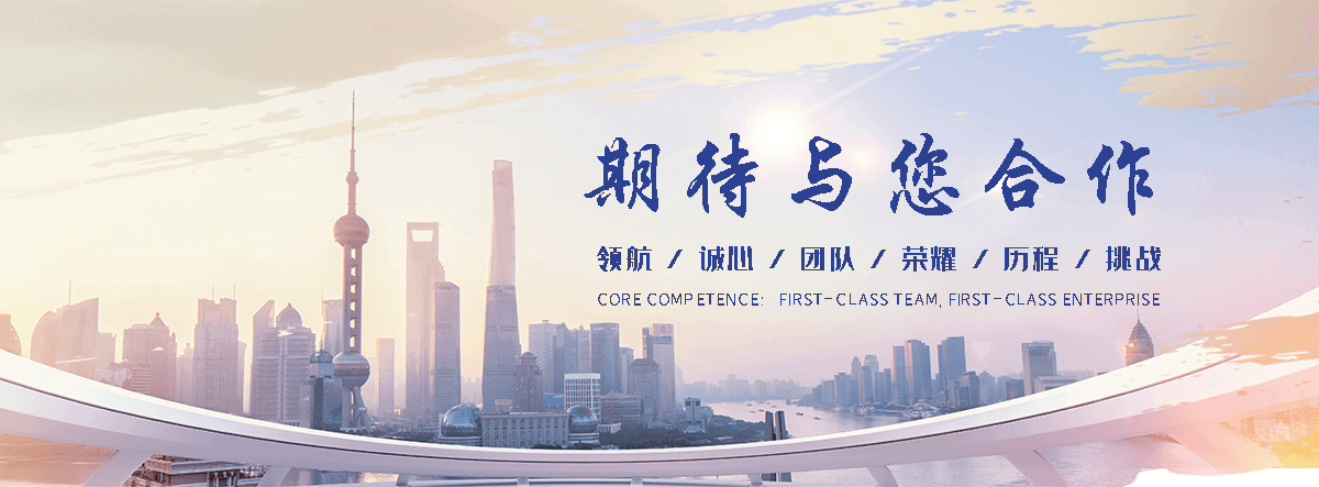 和龙自研AI全域获客系统与成熟落地运营体系,GEO推广公司,口碑好的GEO推广公司